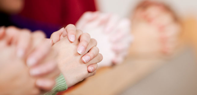 Mountain Laurel Moravian Praying Hands